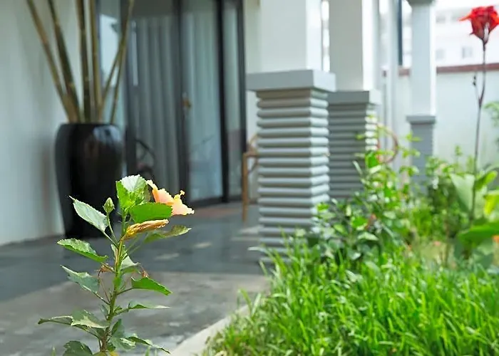 Dream Butterfly Garden Boutique Hotel 3*
