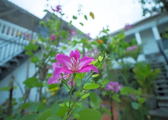 Dream Butterfly Garden Boutique Hotel Siem Reap
