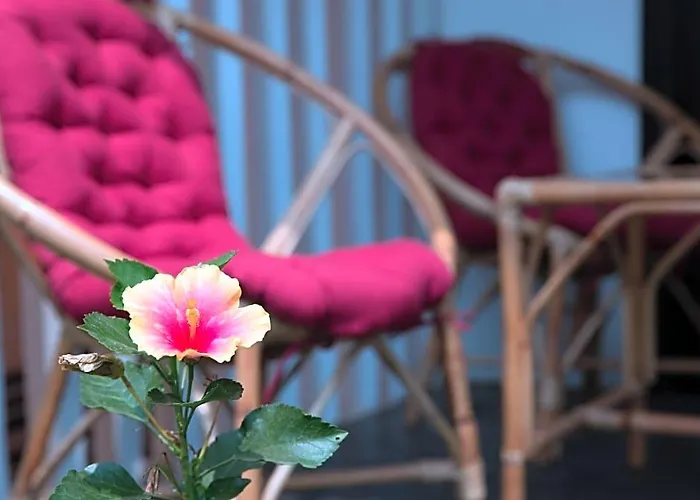 Hotel Dream Butterfly Garden Boutique 3*